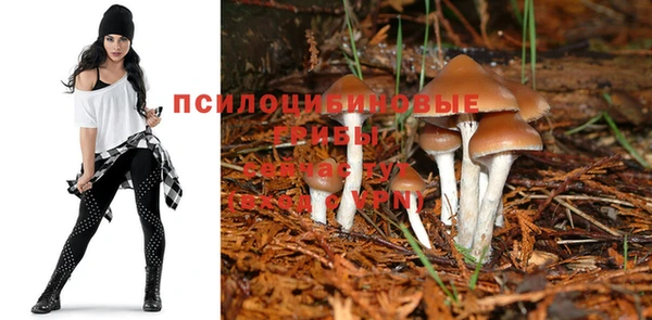 таблы Усолье-Сибирское